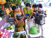 セブ島体験談「初めてのセブ旅行」のイメージ画像