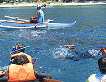 セブ島体験談「憧れのセブ島」のイメージ画像