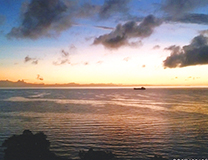 セブ島体験談「セブ島“おいしかったよ！”」のイメージ画像