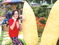 年末のセブ旅体験談「年末のセブ旅」のイメージ画像